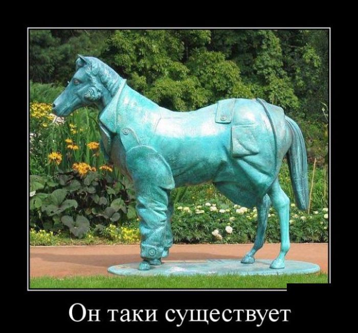 original.jpg#20438248948