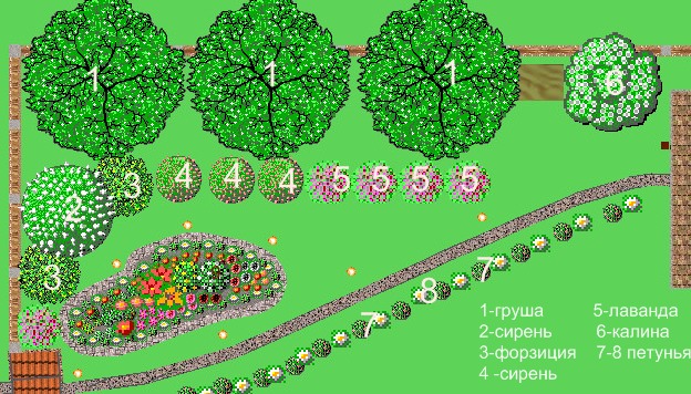Клумба, цветущая весь сезон, план