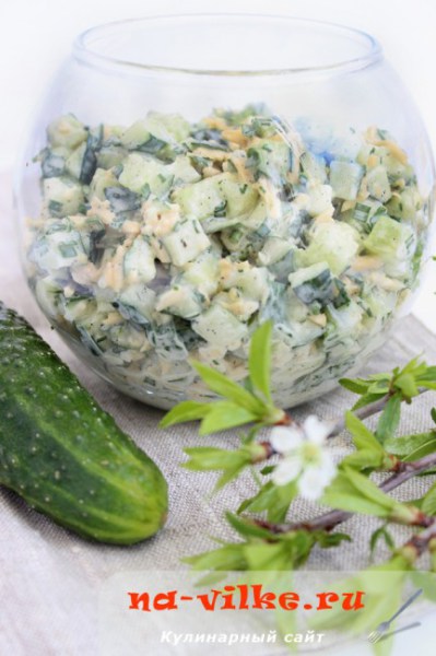 ����� �� ������� � �������� � �����