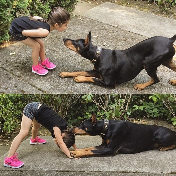 В личном Instagram-аккаунте малышки множество трогательных снимков с собакой, которая сопровождает ее повсюду.