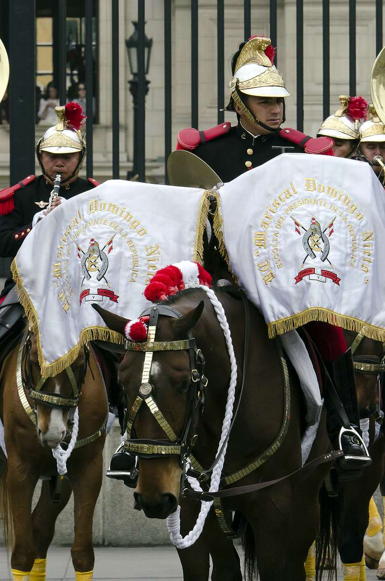 Драгуны с конскими хвостами: Президентская гвардия Перу (33)