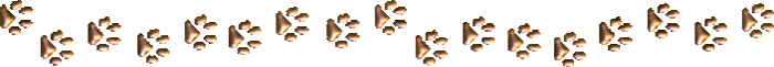 2 (700x61, 62Kb)