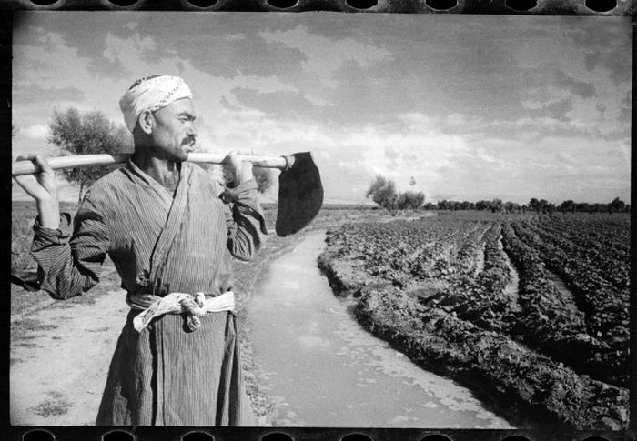 Советский Узбекистан в фотографиях Макса Пенсона люди, ссср, узбекистан, фотограф