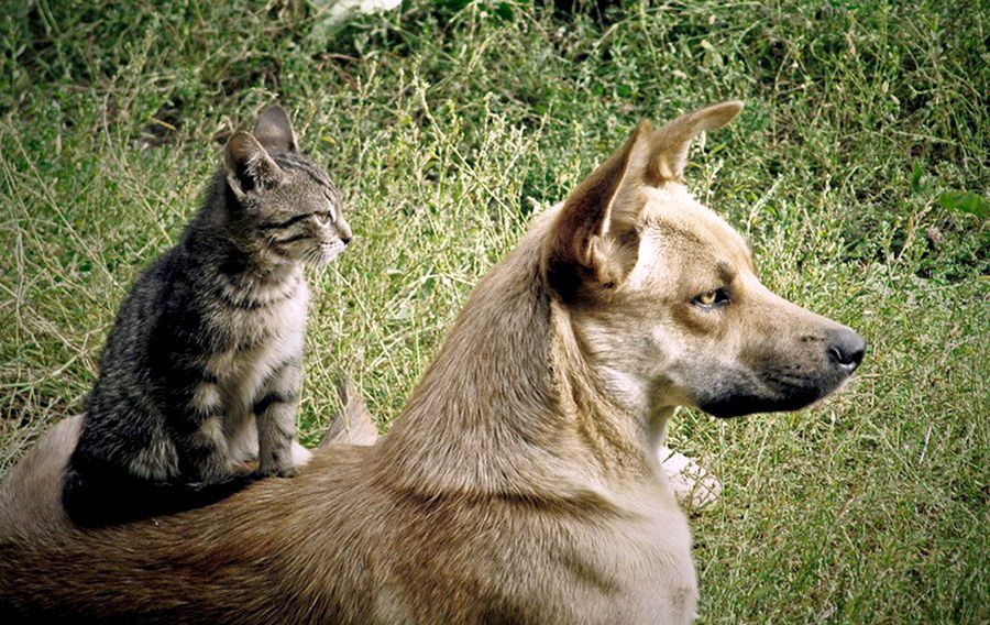 NewPix.ru - ������������ ���������� ��������