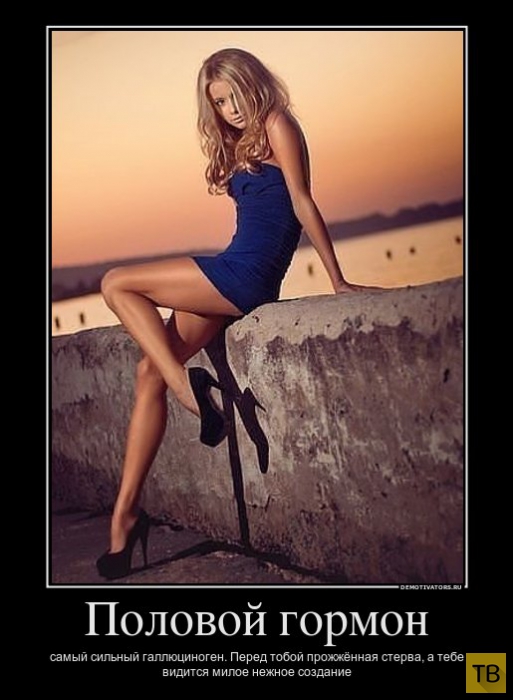 original.jpg#20674177242