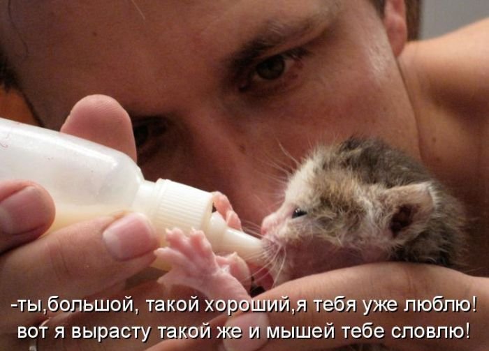 Котоматрица. Часть 2. (45 фото)