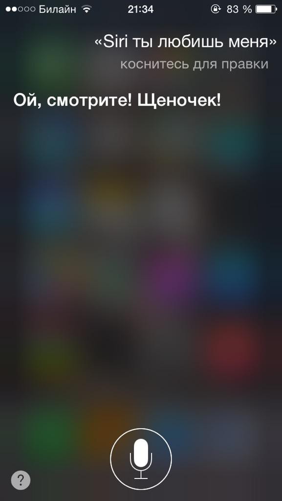 5. Siri умеет переключить ваше внимание 5. Siri умеет переключить ваше внимание iphone, siri, юмор