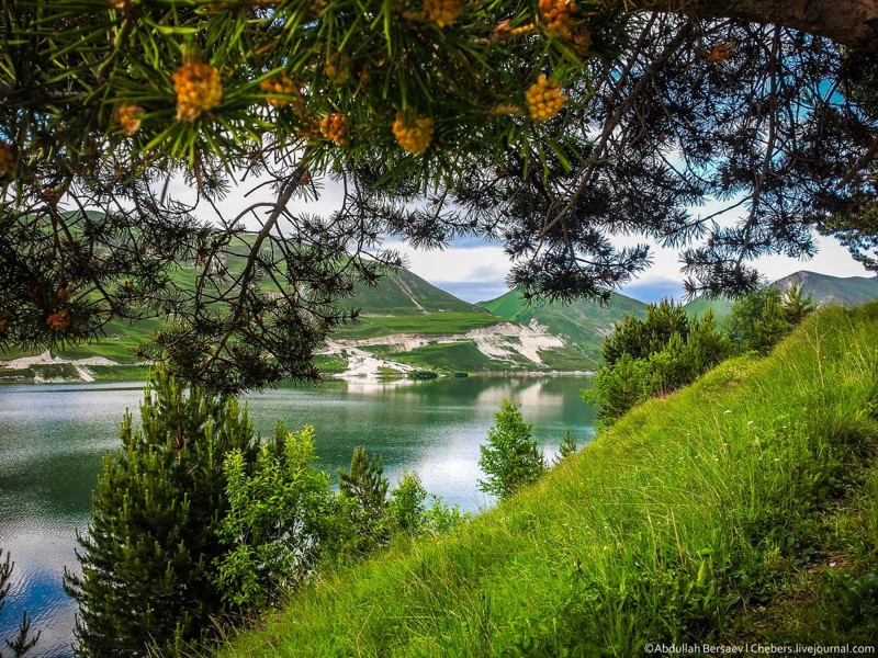 Мало кому известное, сказочно красивое озеро))) Кезеной-Ам, озеро, природа, чечня