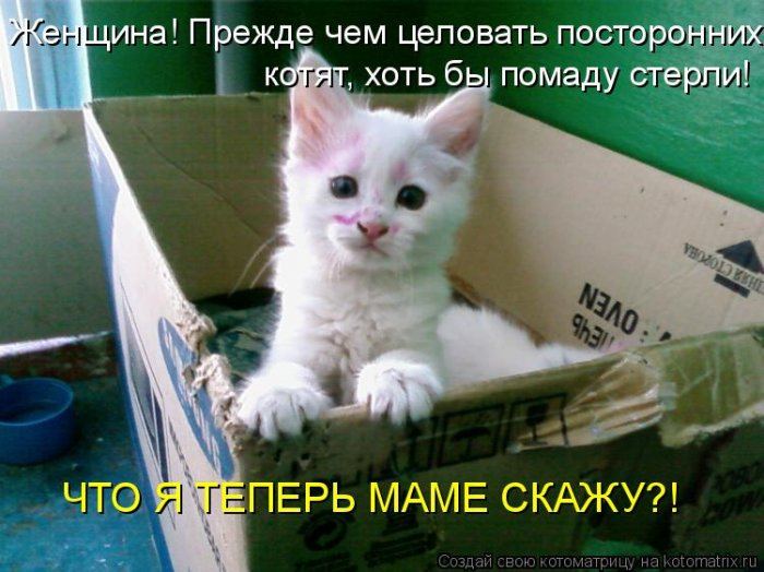 Мысли вслух :)
