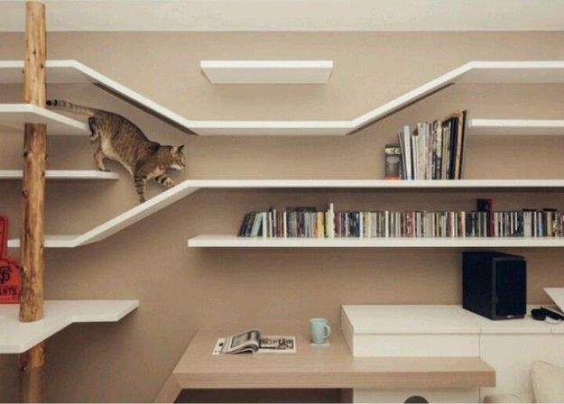 Лабиринт для кошки из настенных полок Лабиринт для кошки из настенных полок