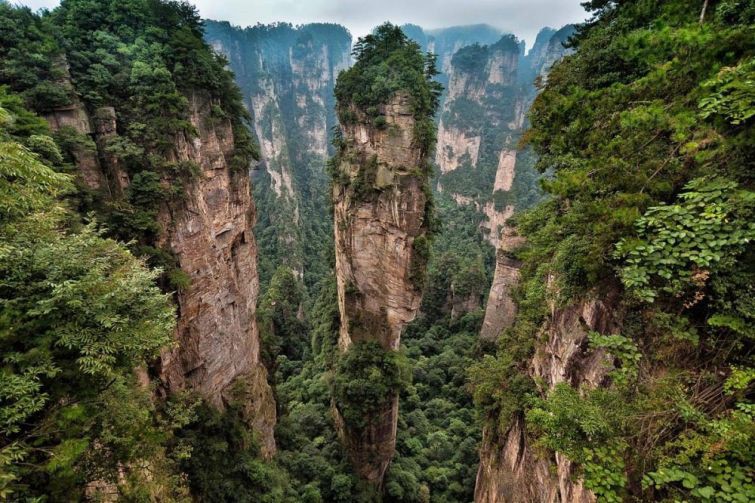 Национальный парк Чжанцзяцзе, Китай животные мир, природа
