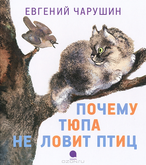1005642570 1005642570
