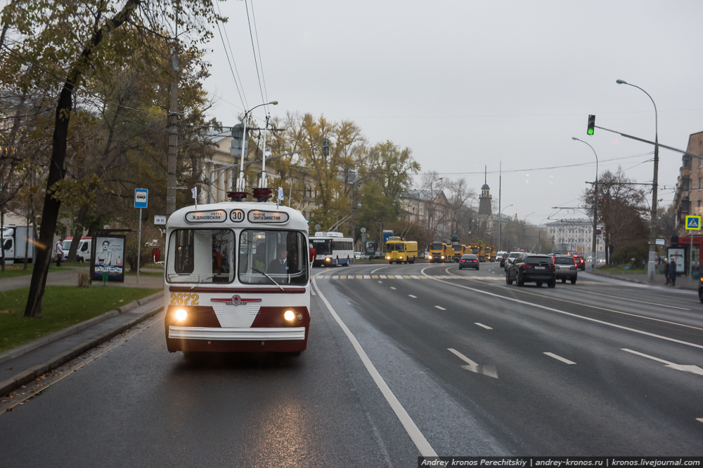 Рогатые раритеты Рогатые раритеты