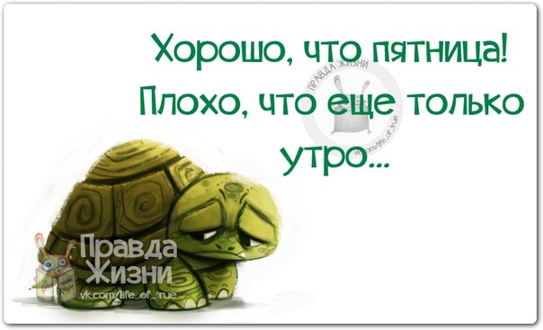 http://mtdata.ru/u25/photoDC9C/20451991348-0/original.jpg