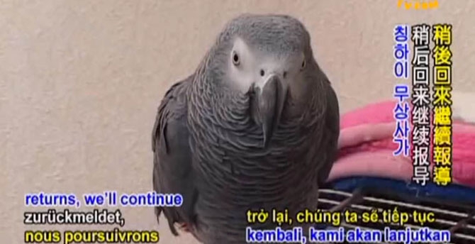   ,        , , ., 