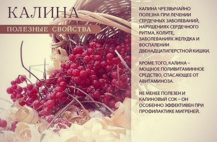  9 самых полезных продуктов для всего организма Полезные, фрукты, ягода