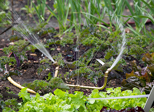 Полив огорода