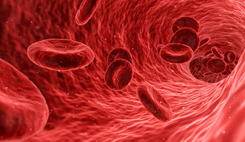Настоящие везунчики: ученые назвали группу крови, носители которой могут не бояться онкологии