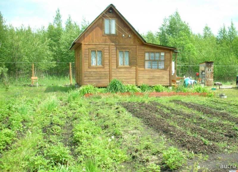 Где Можно В Поселке Купить