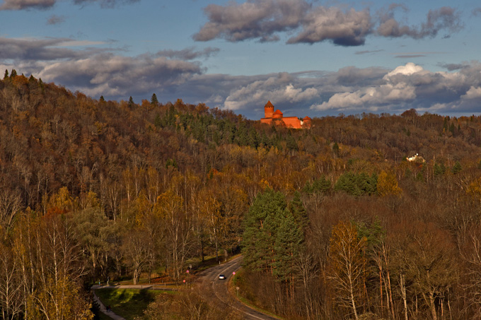 Лес возле Турайдского замка, Латвия