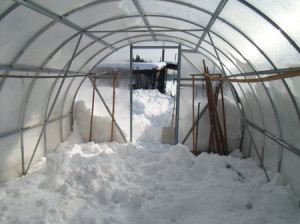 image5