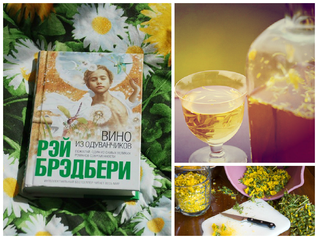 Как сделать вино из одуванчика Как сделать вино из одуванчика