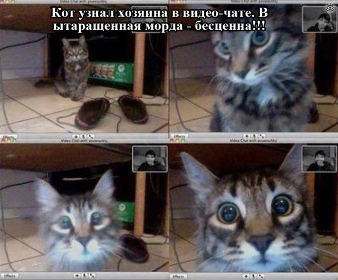 Прикольная ерундистика 8