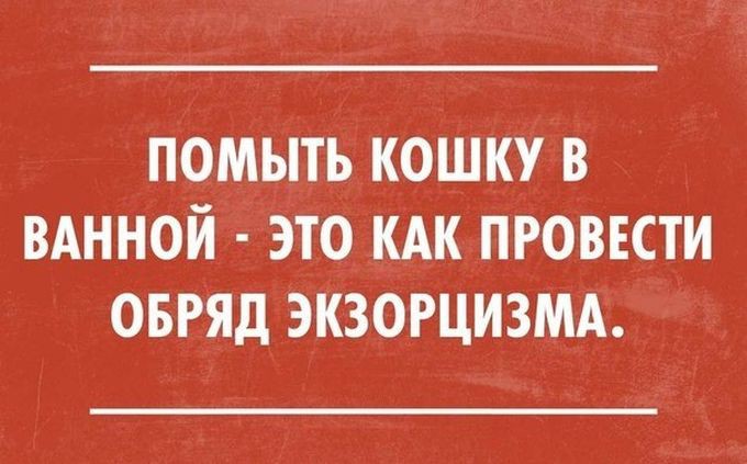 20 жизненных открыток для отличного настроения жизнь, открытки, юмор