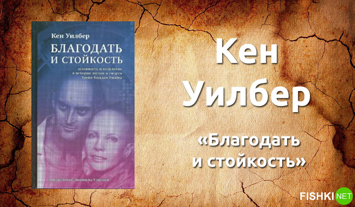 Мульча для роз : Энциклопедия роз Муж изменяет? 12 удивительных фактов об измене!