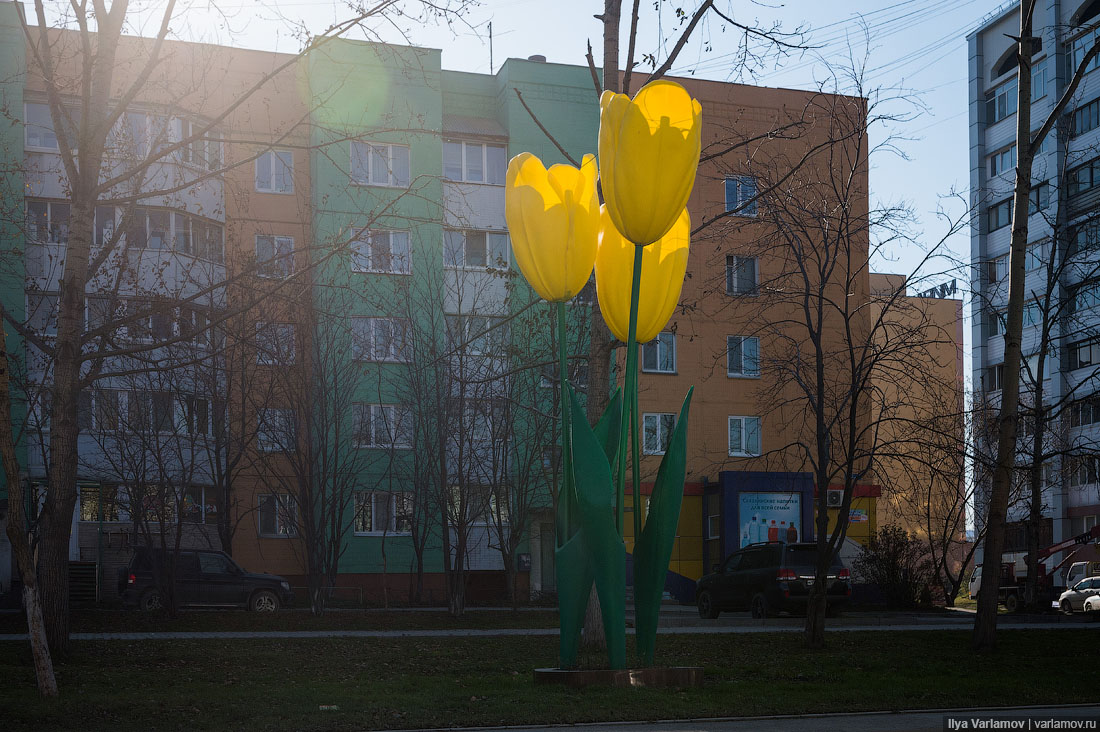 Чем Южно-Сахалинск отличается от других городов России?