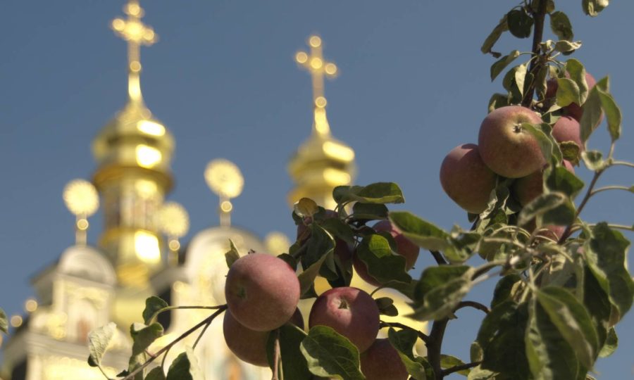 В храме Северного Тушина побеседует о Яблочном Спасе