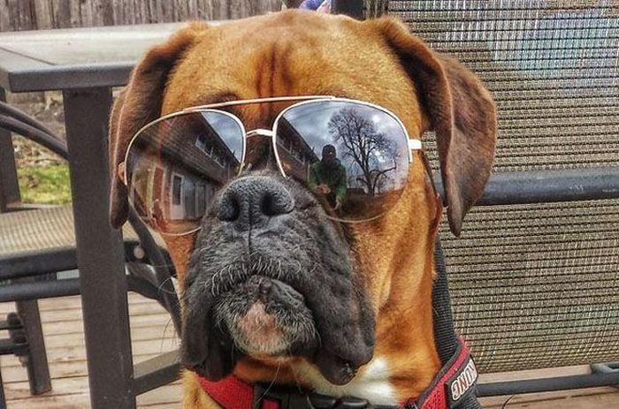 Подборка картинок Подборка картинок картинки, приколы