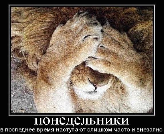ПОНЕДЕЛЬНИК - ДЕНЬ СМЕШНОЙ!!!