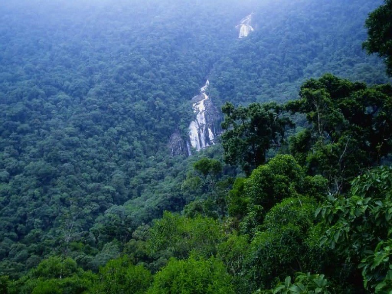 Amazonas04 Amazonas04 Большое фотопутешествие по лесам Амазонки