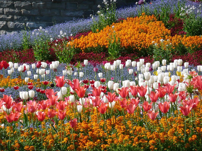 0_c2836_4b4c051b_XL.jpg (700x525, 697Kb)