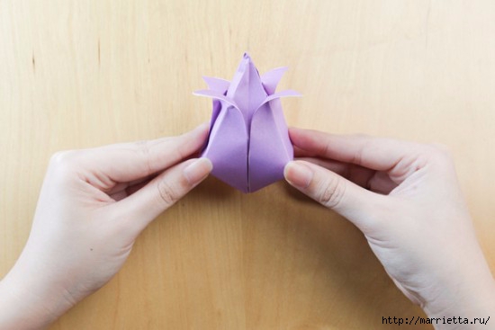 Как сложить тюльпаны в технике оригами (16) (550x367, 76Kb)