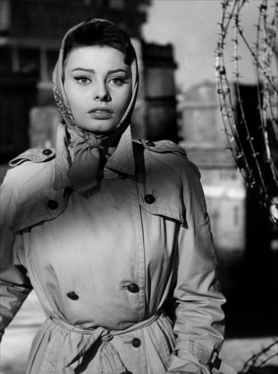    .  / Sophia Loren. Photo