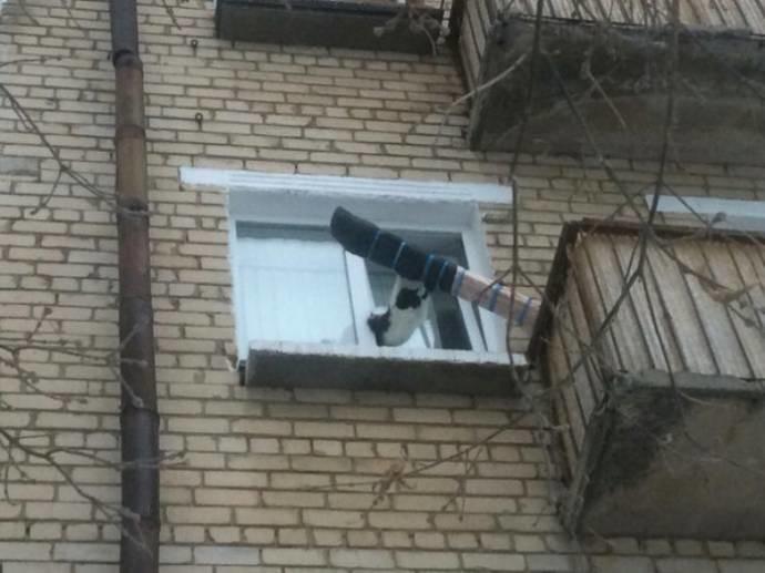 А из нашего окна тётя голая видна! Чего только не увидишь, выглянув в окно утром А из нашего окна тётя голая видна! Чего только не увидишь, выглянув в окно утром