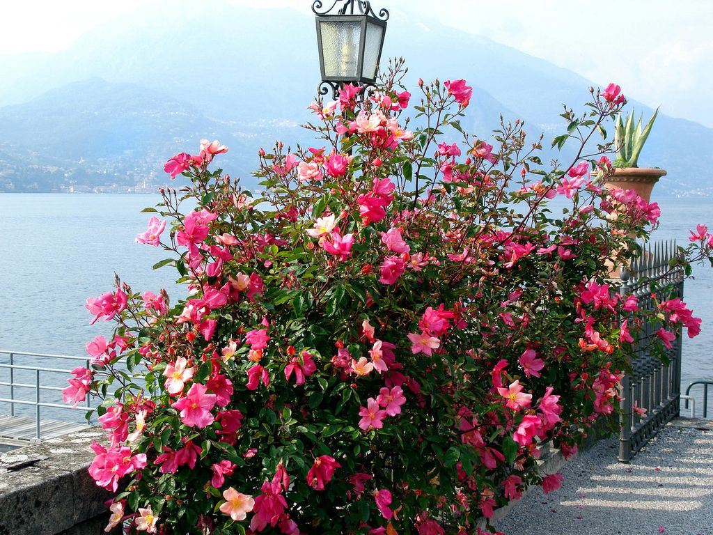 NewPix. ru - Озеро Комо - главная достопримечательность севера Италии