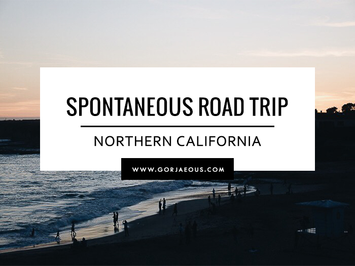 Spontaneous Road Trip to Northern California | SCATTERBRAIN.png