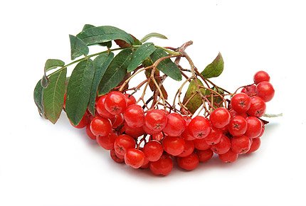 Эффективные народные средства от запора, рецепты и методы лечения Эффективные народные средства от запора, рецепты и методы лечения