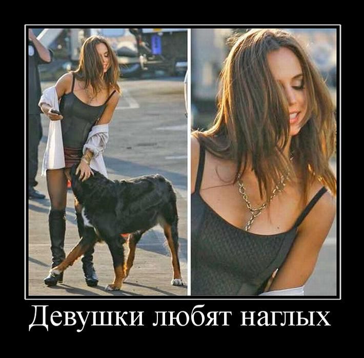 Демотиваторы