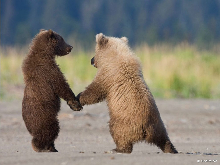 25 лучших фотографий National Geographic. Часть 1