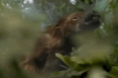   ,   