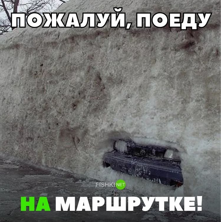 Пожалуй, поеду на маршрутке! Пожалуй, поеду на маршрутке! авто, автомобили, автоприкол, автоприколы, подборка, прикол, приколы, юмор