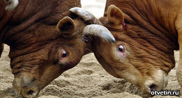 ОТВЕРЖЕНИЕ И ПРЕЗРЕНИЕ БОГА СЕГОДНЯ ОТВЕРЖЕНИЕ И ПРЕЗРЕНИЕ БОГА СЕГОДНЯ