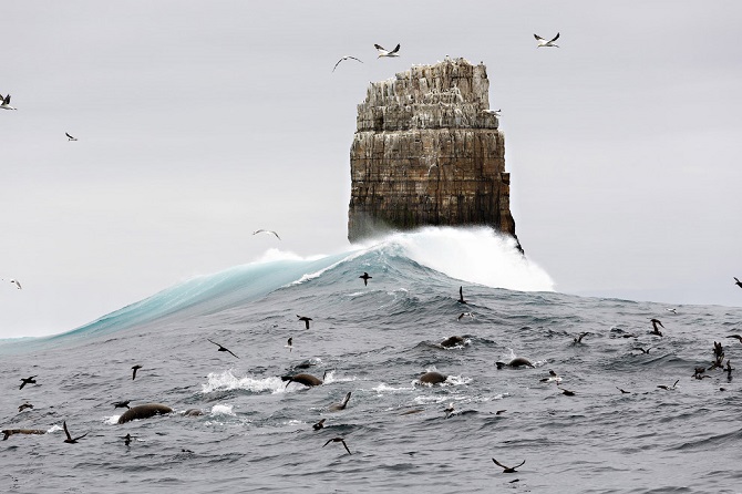 Лучшее с конкурса фотографии National Geographic 2015