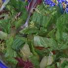 Салатные листья выложить в блюдо с мякотью помело, полить заправкой и перемешать.