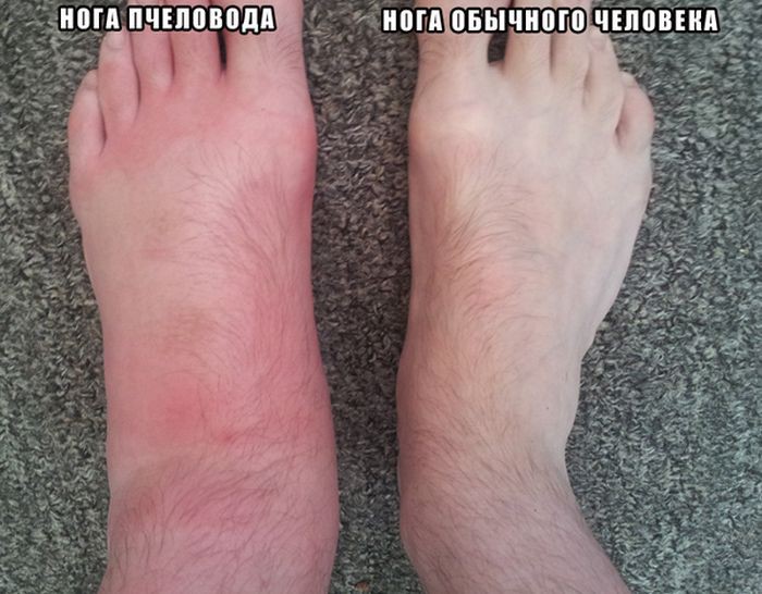 Прикольные картинки с надписями Прикольные картинки с надписями картинки, прикол, фото