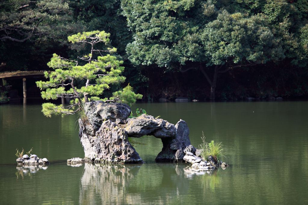 �������� ��� ��� ������ ������������ ������ �������